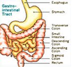 Gastro-intestinal cancer
